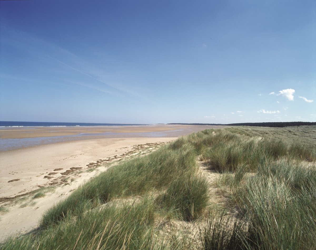 Holkham beach within 8 miles of Cranmer